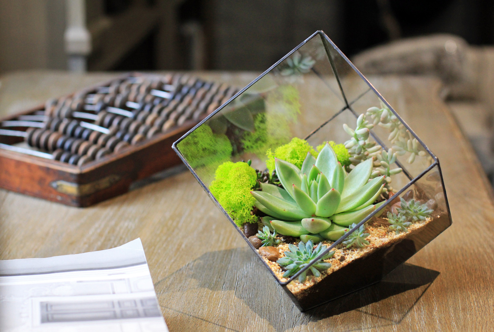 Флорариум "Куб"