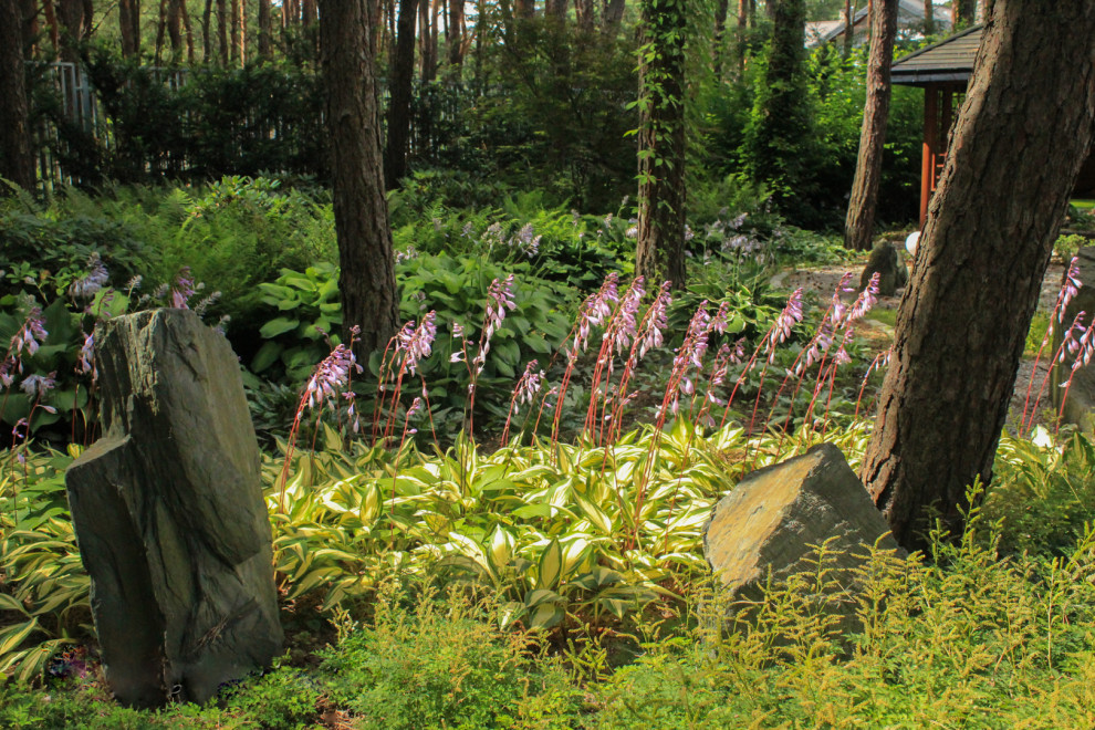 Тенистый сад в лестном массиве