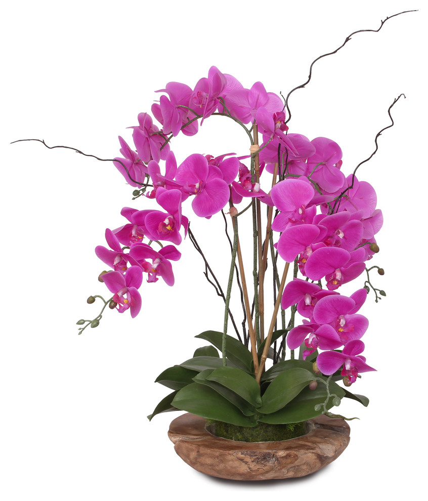 Phalaenopsis Silk Orchid With Curly Willow and Succulents ...
