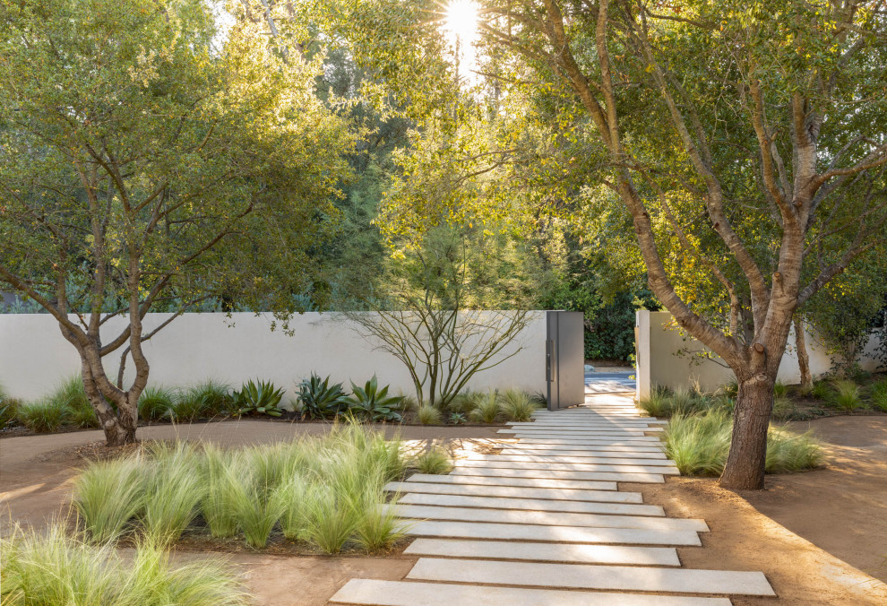 Design ideas for a modern garden in Los Angeles.