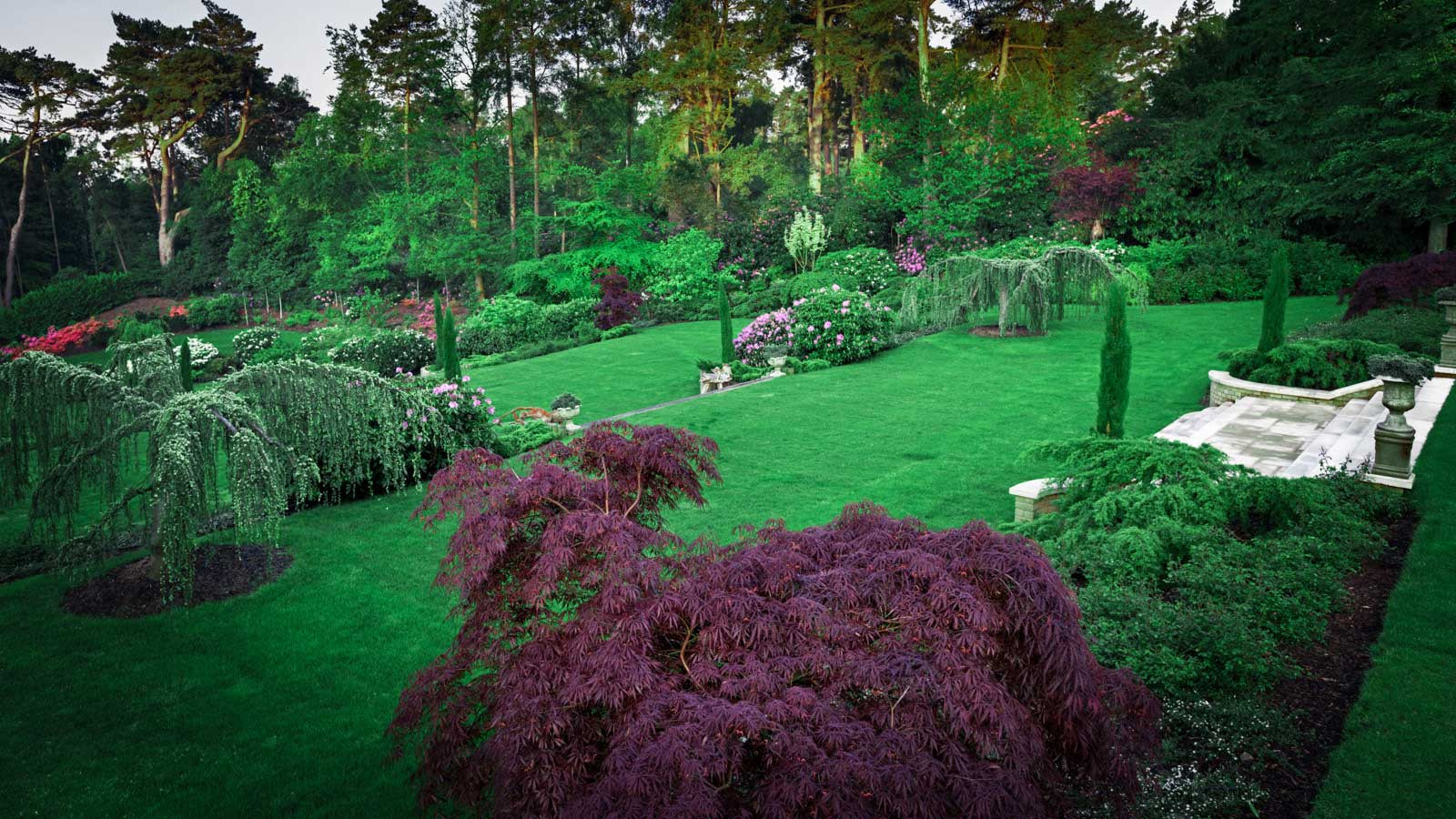 Суррей Времена Года