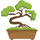 Nursery Tree Wholesalers - Bonsai Trees For Sale