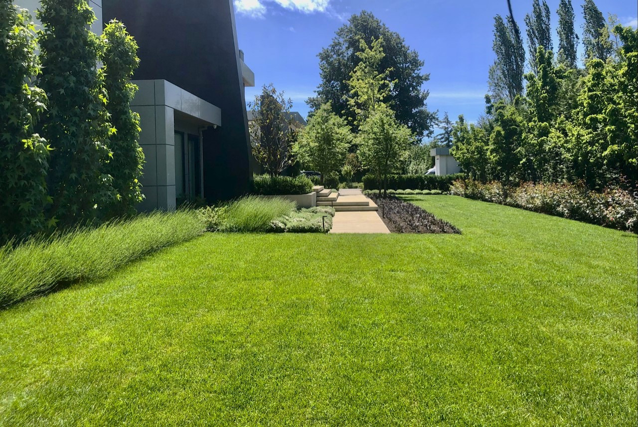 Urban Farm