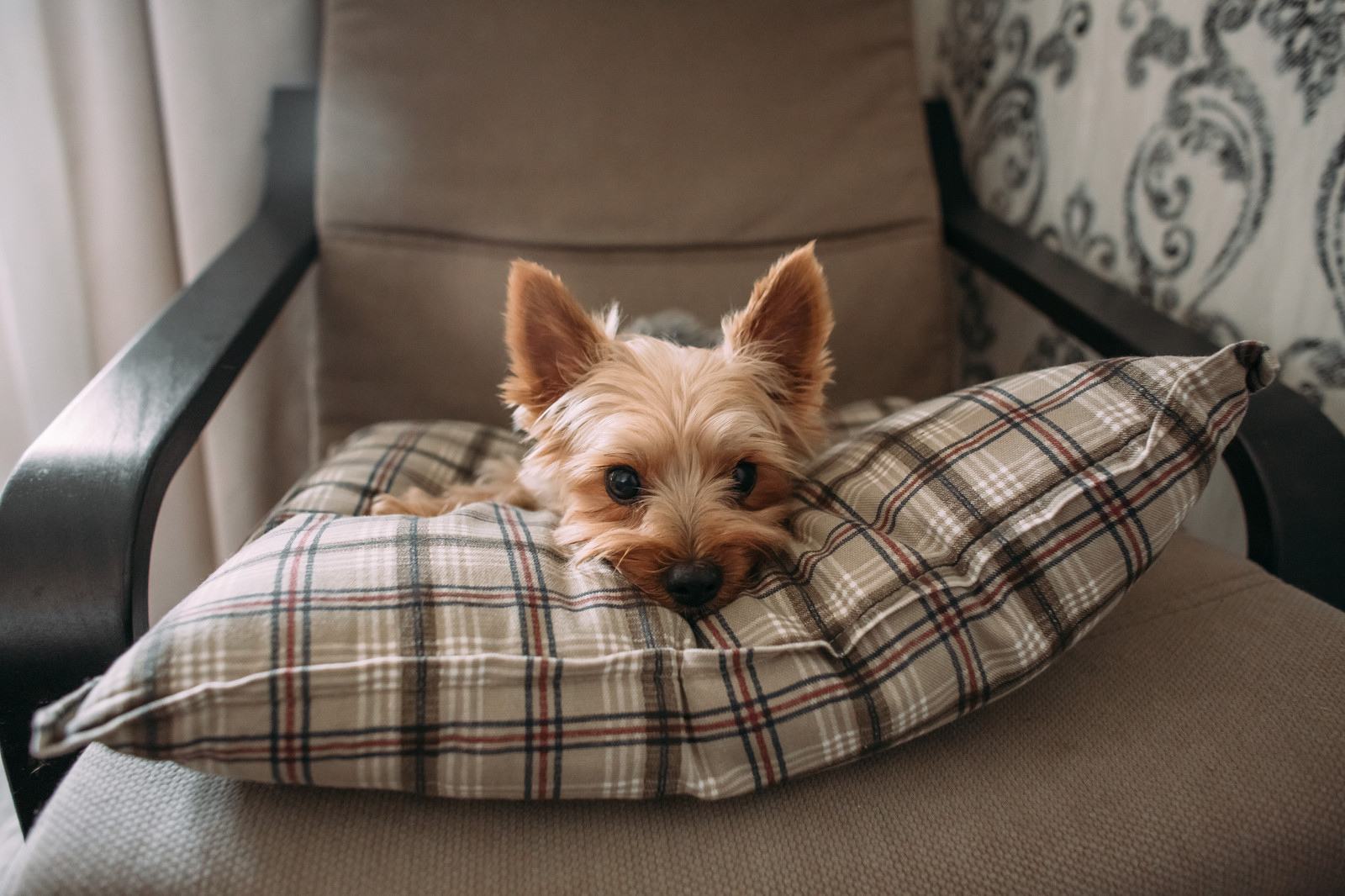 ФМР КВАРТИРА В  СОВРЕМЕННОМ СТИЛЕ ДЛЯ ЛЮБИТЕЛЕЙ МИНИМАЛИЗМА