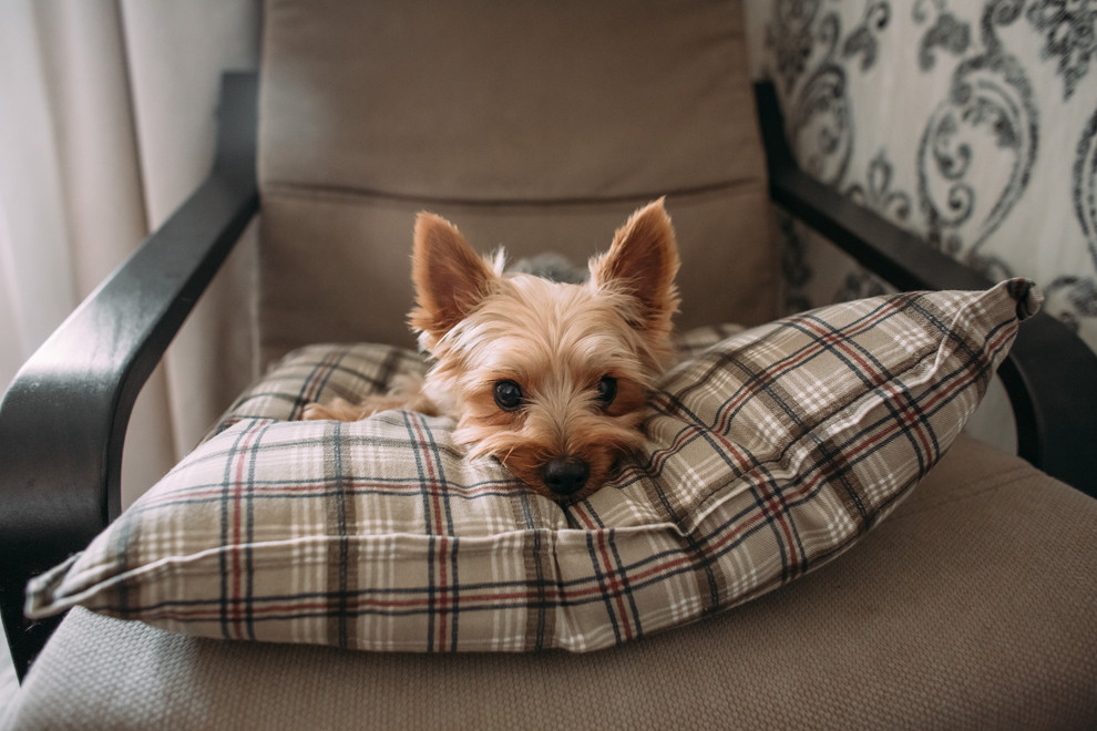 ФМР КВАРТИРА В  СОВРЕМЕННОМ СТИЛЕ ДЛЯ ЛЮБИТЕЛЕЙ МИНИМАЛИЗМА