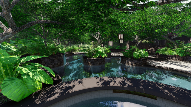 Wayne transitional-pool