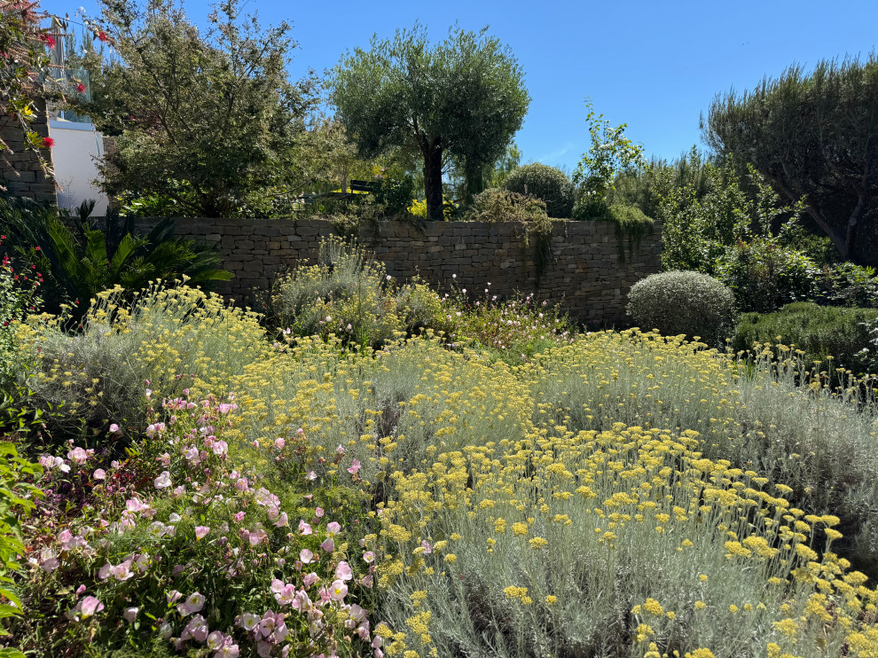 La Ciotat (Bouches du Rhône) - Jardin méditerranéen en restanques