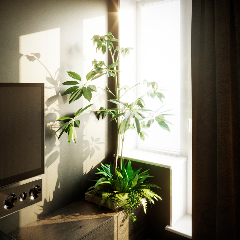 «Монохром»