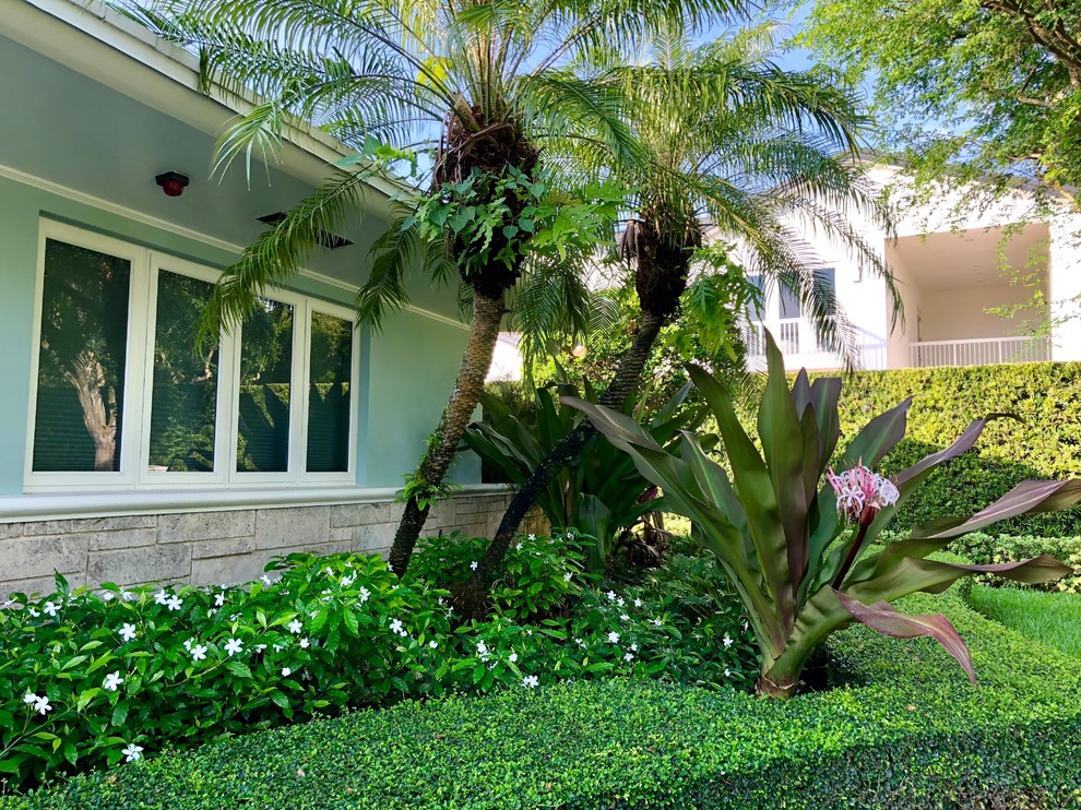 Photo of a large contemporary garden in Miami.