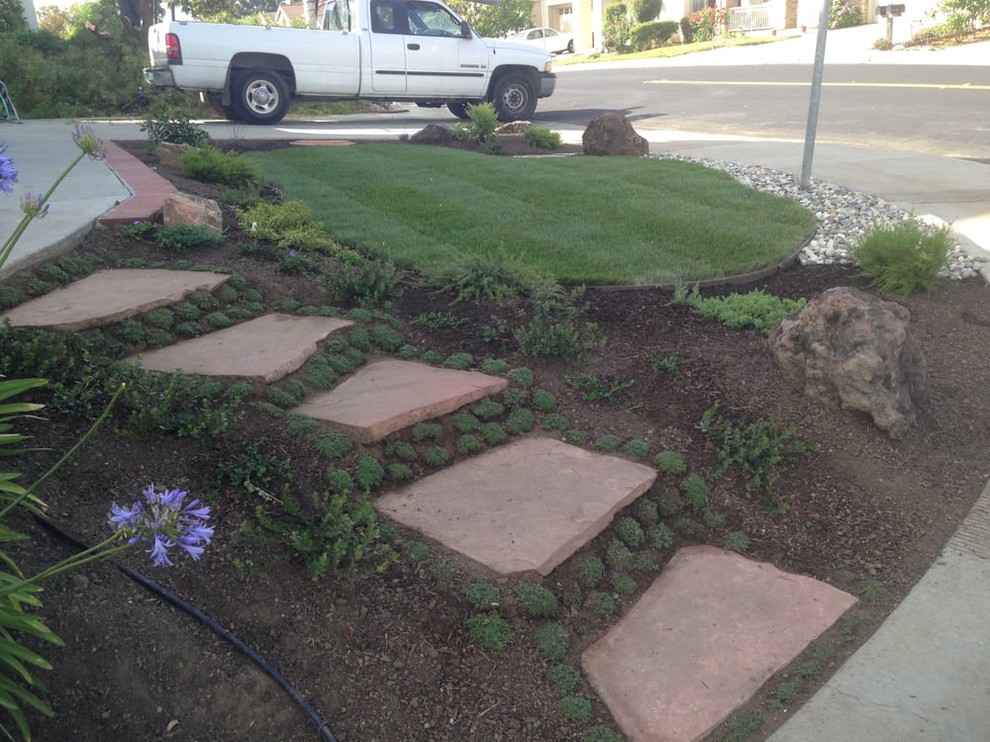 This is an example of a transitional landscaping in San Francisco.