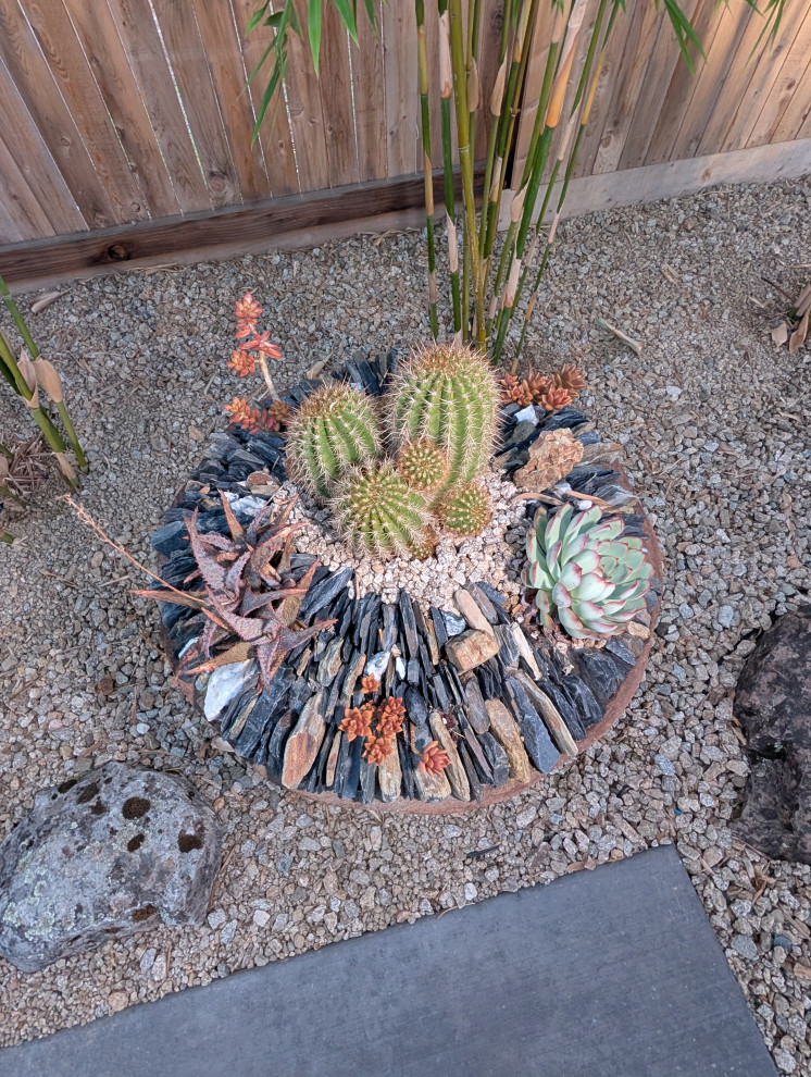 Rancho Mod Zen