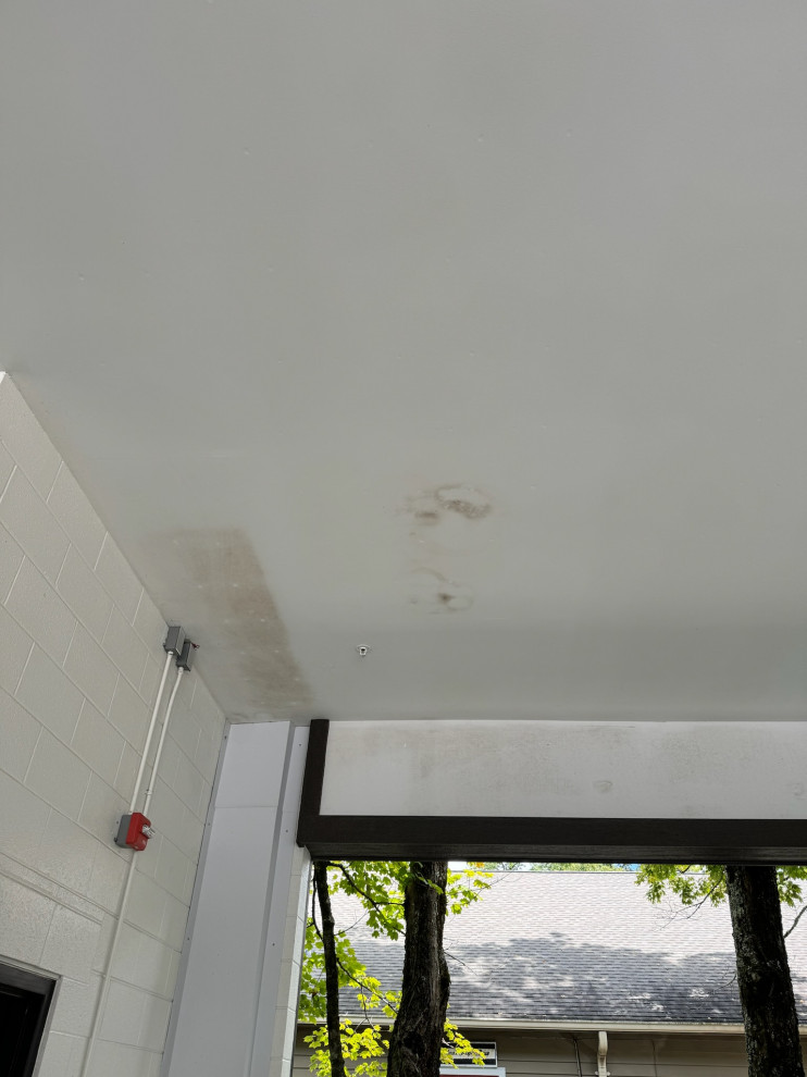 Cardinal on Main Sheetrock Repair