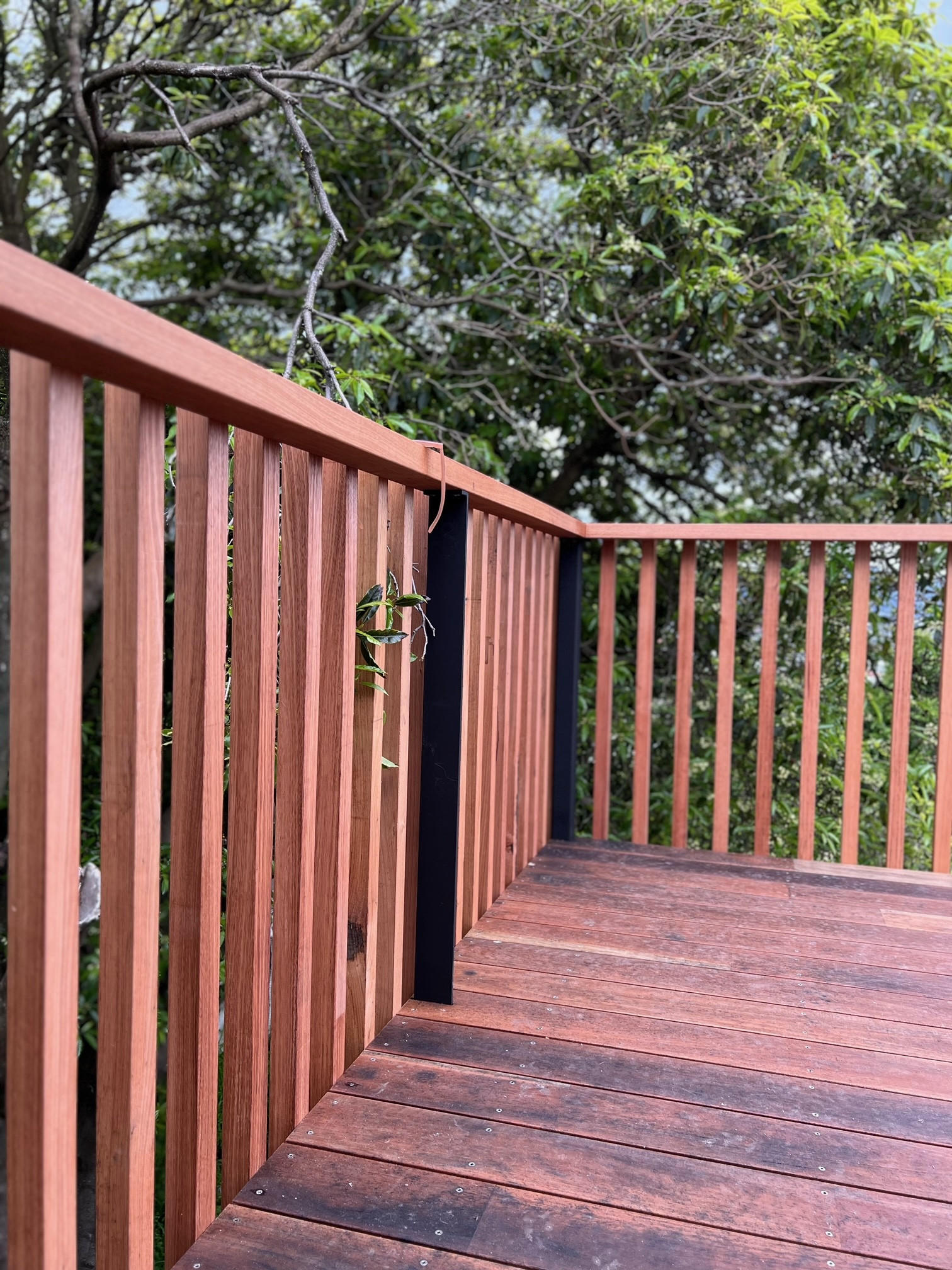 Moonah house deck