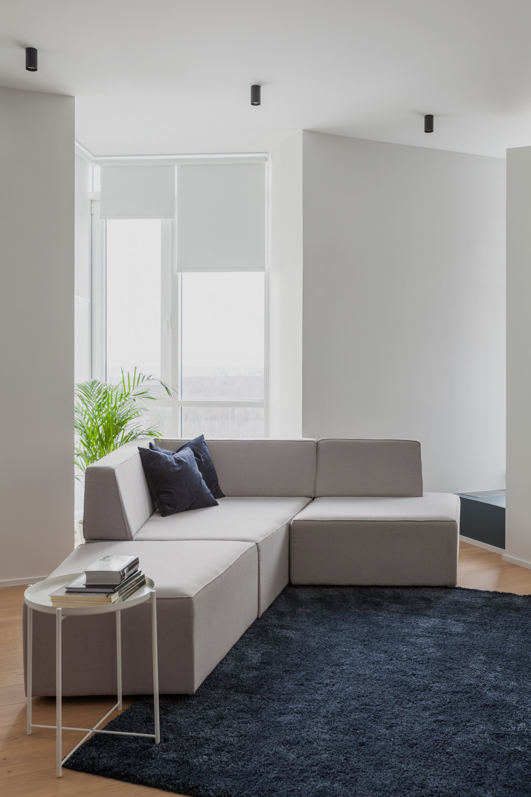 Квартира с асимметричными стенами