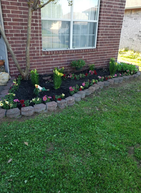 Recent Projects garten