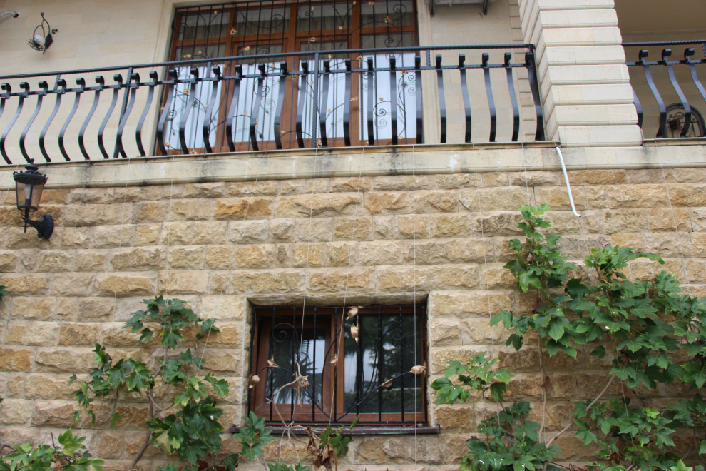 Фабрициуса