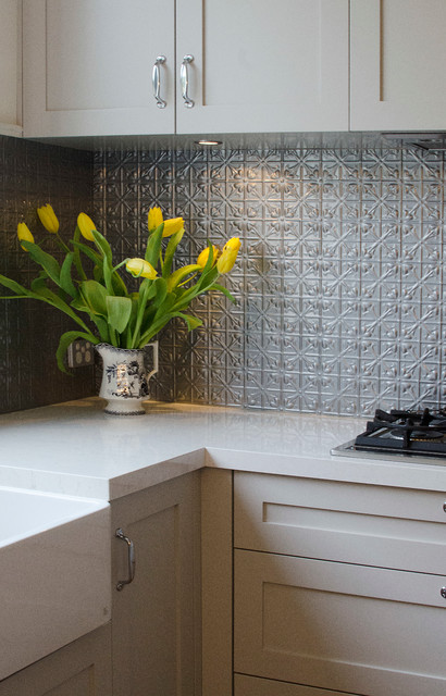 Transitional Kitchen transitional-kitchen