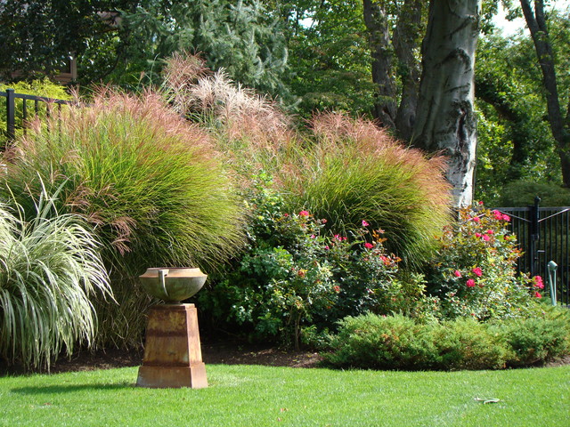 Best Plant Types For Creating Privacy, Florida Landscaping Ideas For Privacy