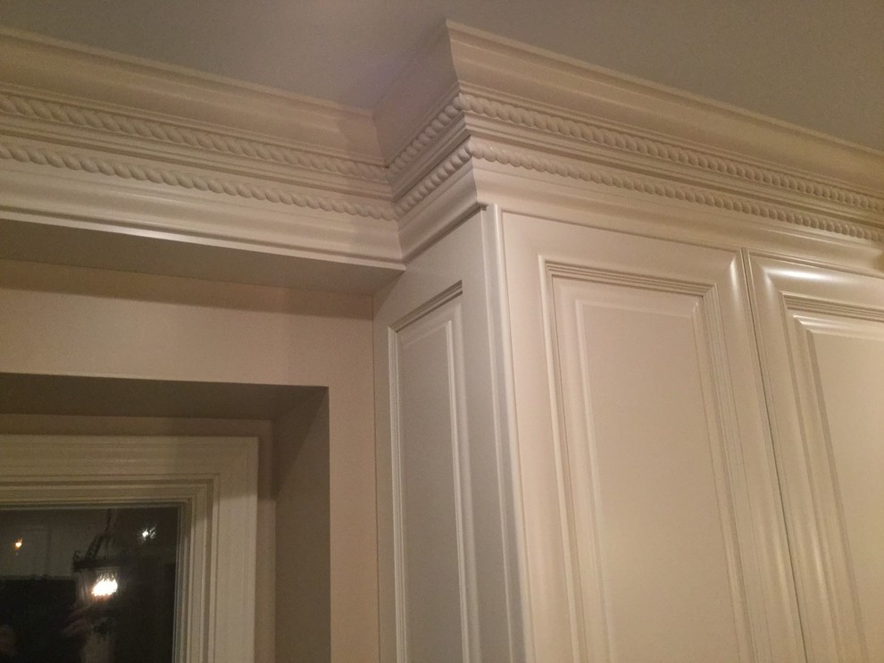 Inspiration for a transitional home design remodel in Chicago