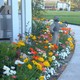 Dominic Bianchi Landscape Services