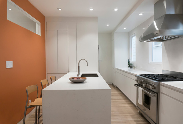 Pacific Heights Remodel minimalistisch-kueche