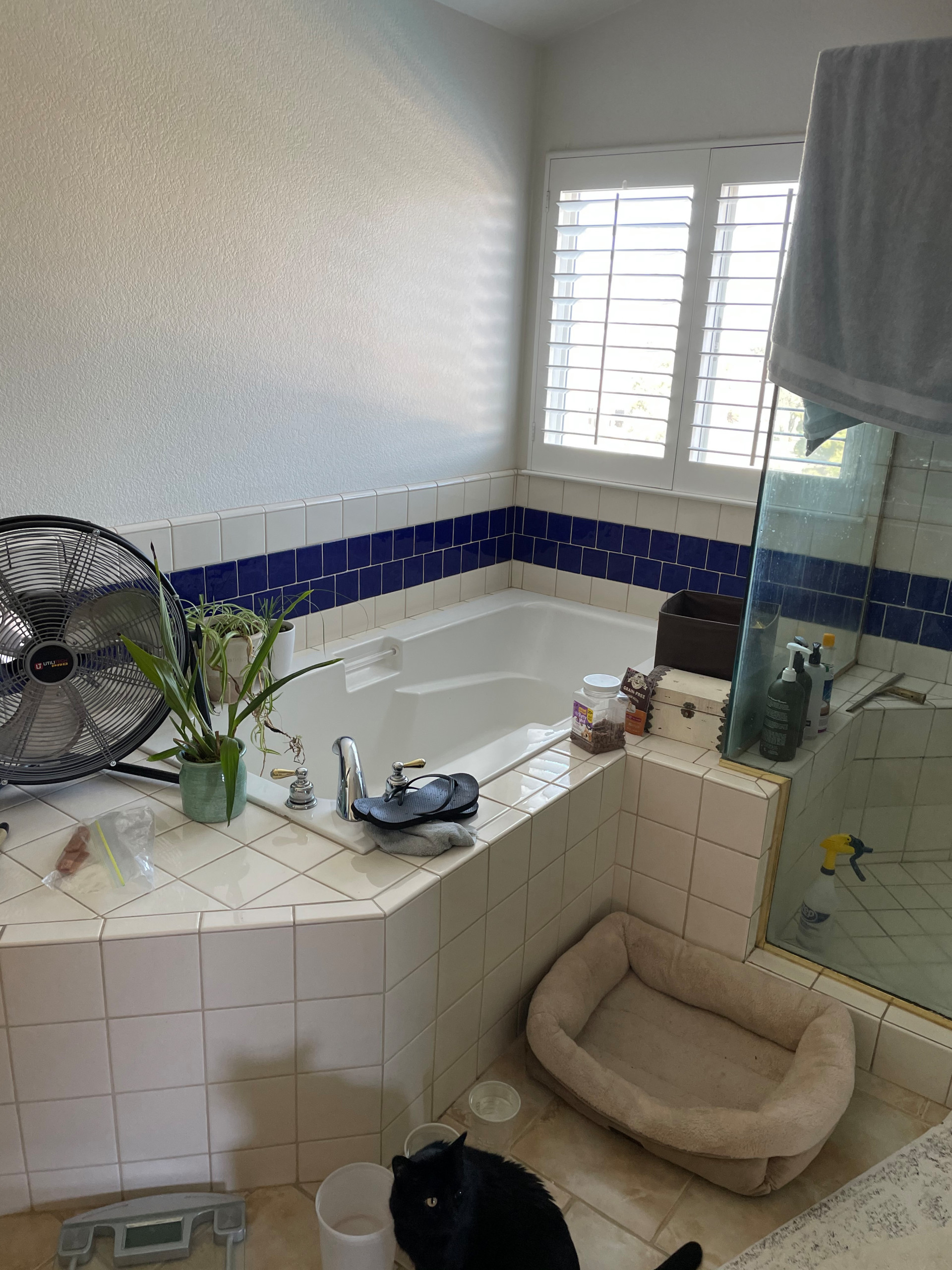 Stratford Primary Bathroom - Before
