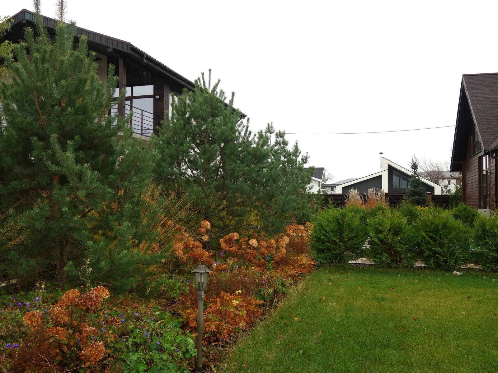 Сад с водоёмом