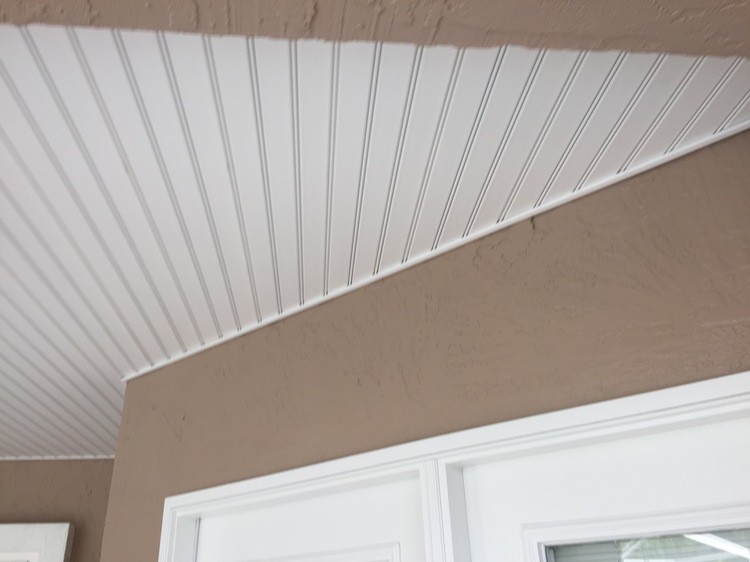 Lanai Ceiling and Soffit Replacement in Trinity Florida - Modern