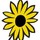 sunflowerdesigns
