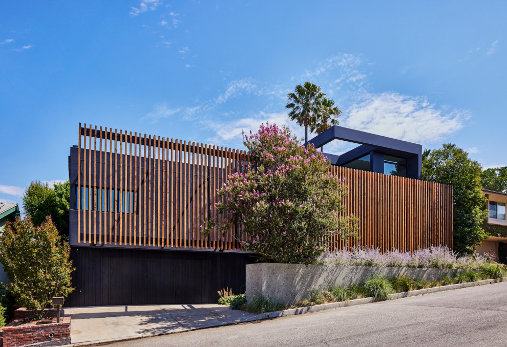 ロサンゼルスにあるラグジュアリーなモダンスタイルのおしゃれな家の外観 (縦張り) の写真