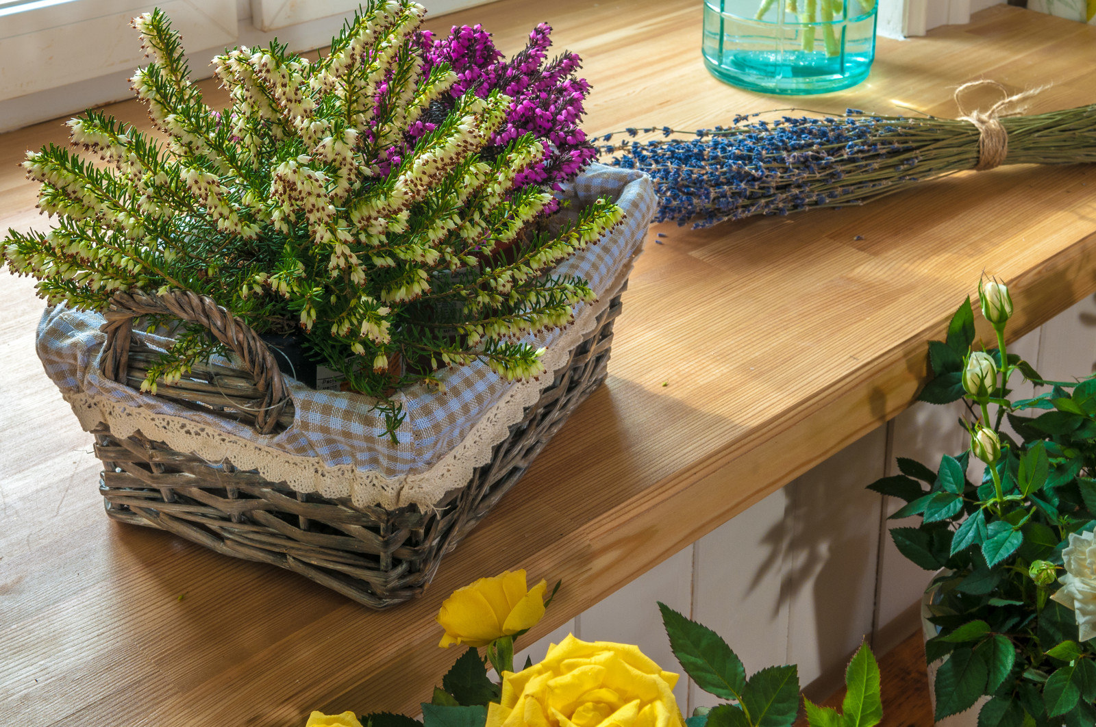 Проект для ТВ-Программы "Фазенда"