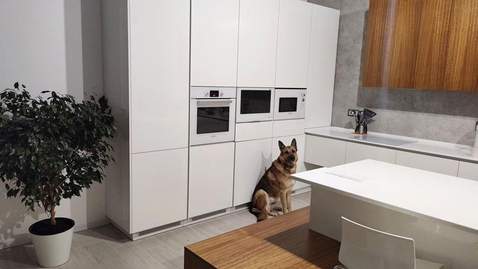 Cabinet Door TV for Kitchen AVEL