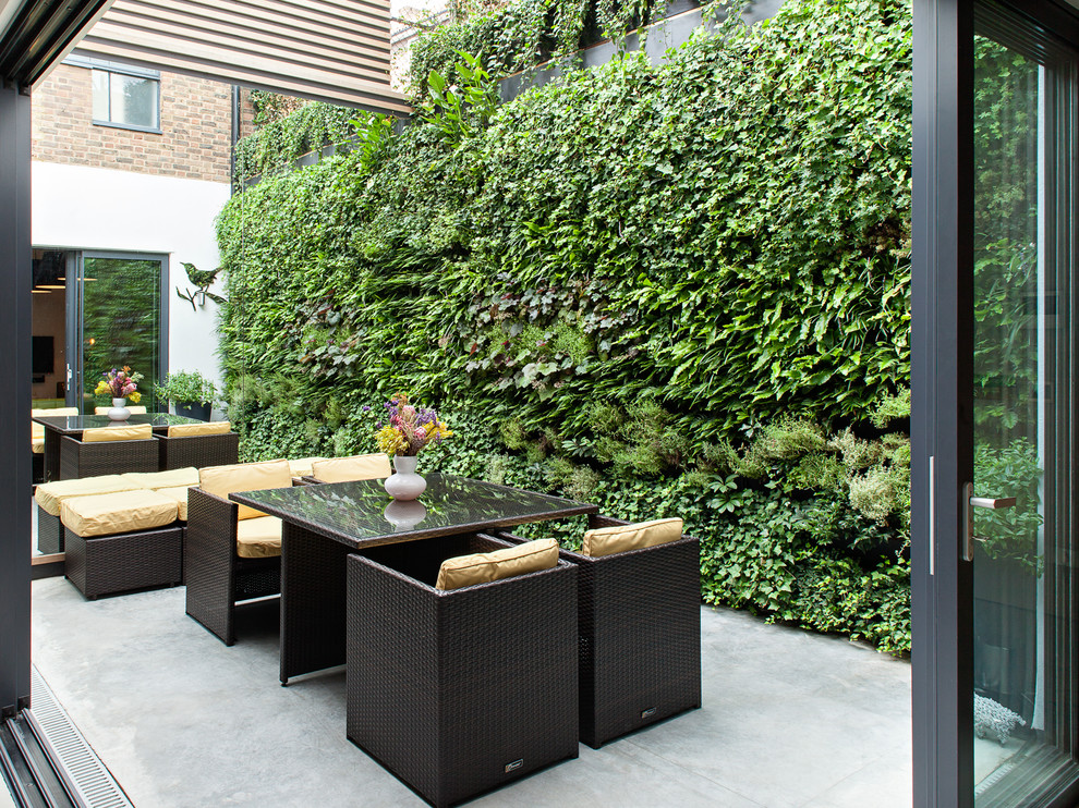 Photo of a contemporary patio in London with a vertical garden, concrete slab and no cover.