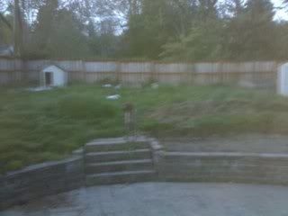 Complete lawn renovation