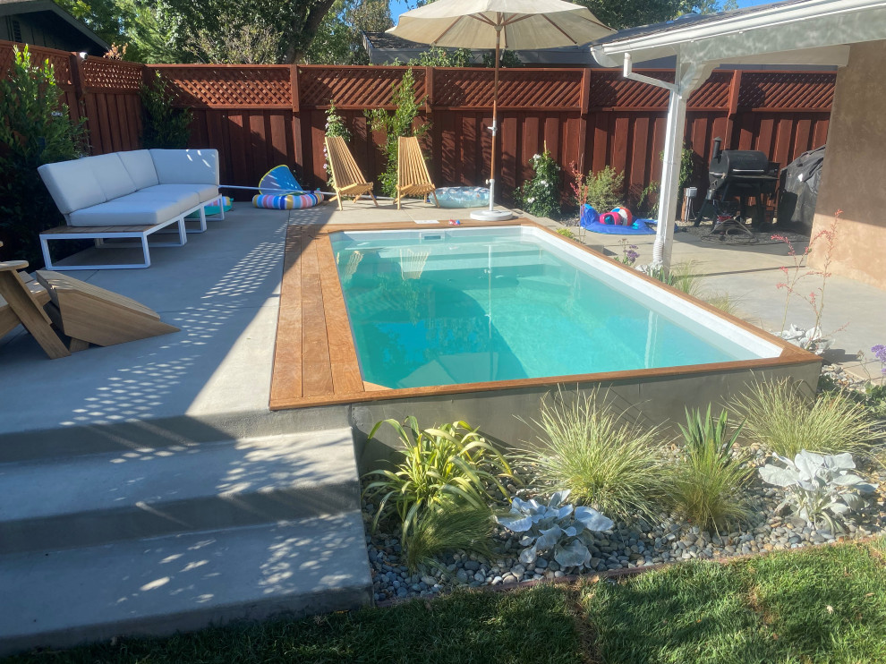 Diseño de piscina elevada pequeña rectangular en patio trasero con paisajismo de piscina y losas de hormigón