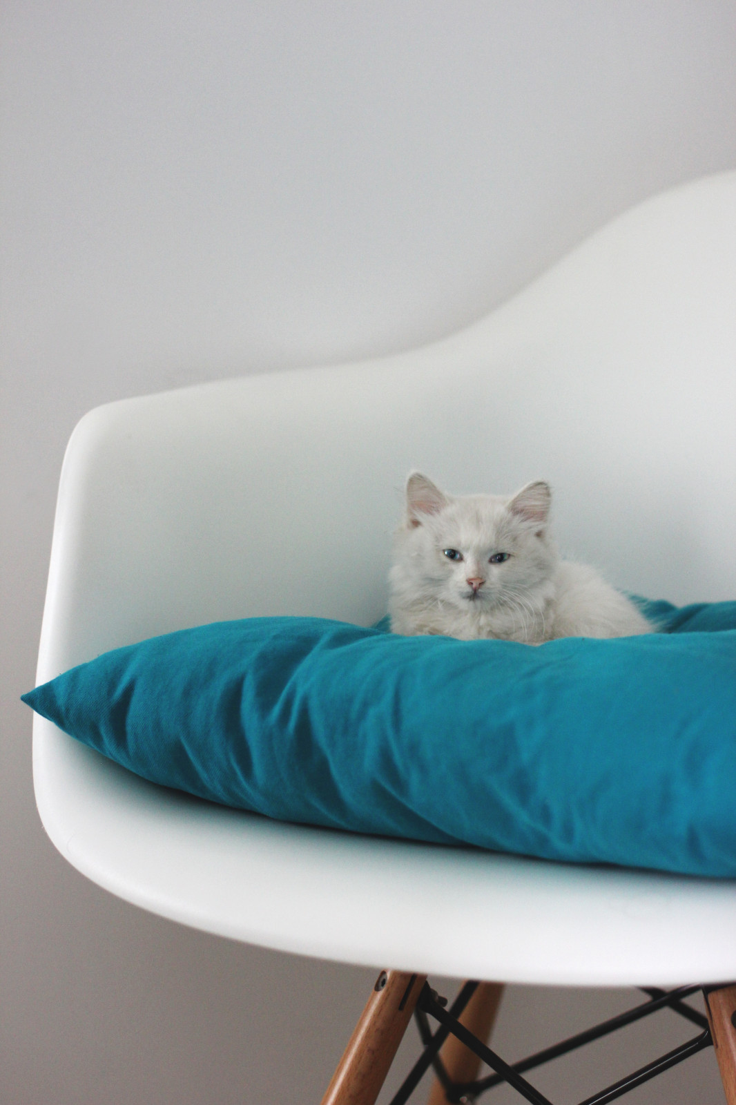 Скандинавская однушка в г. Волгограде