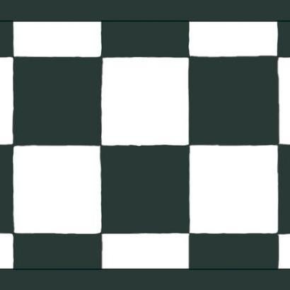 Black And White Checkered Wallpaper Border Contemporary Black And White Checkered Wallpaper Border