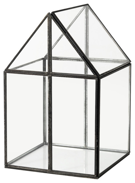 Sikes, Medium, 8Lx8Wx13H Glass Terrarium