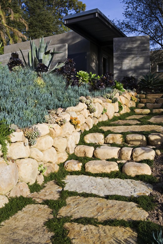 This is an example of an eclectic garden in Santa Barbara with a retaining wall.