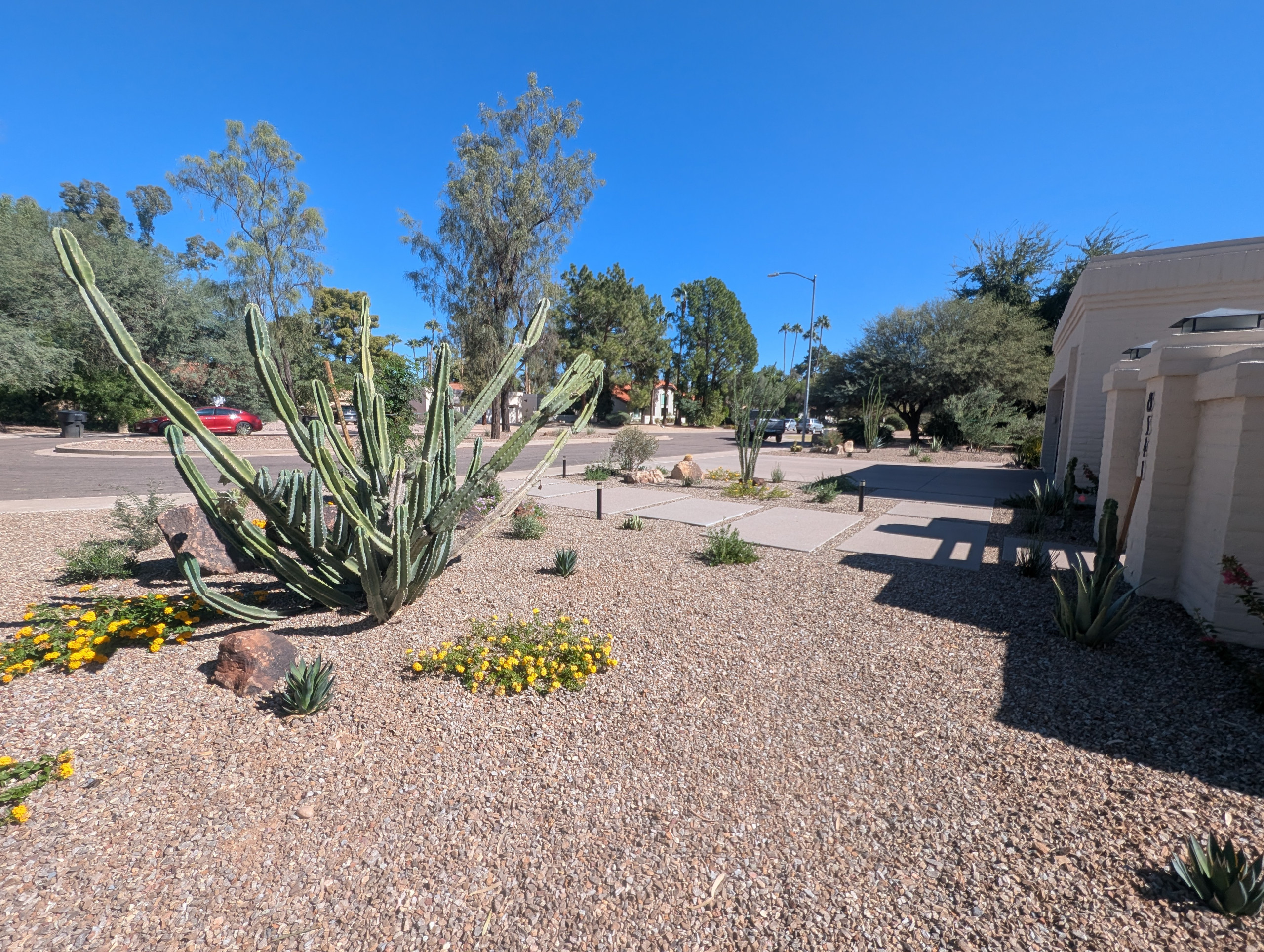 Private Residence 81