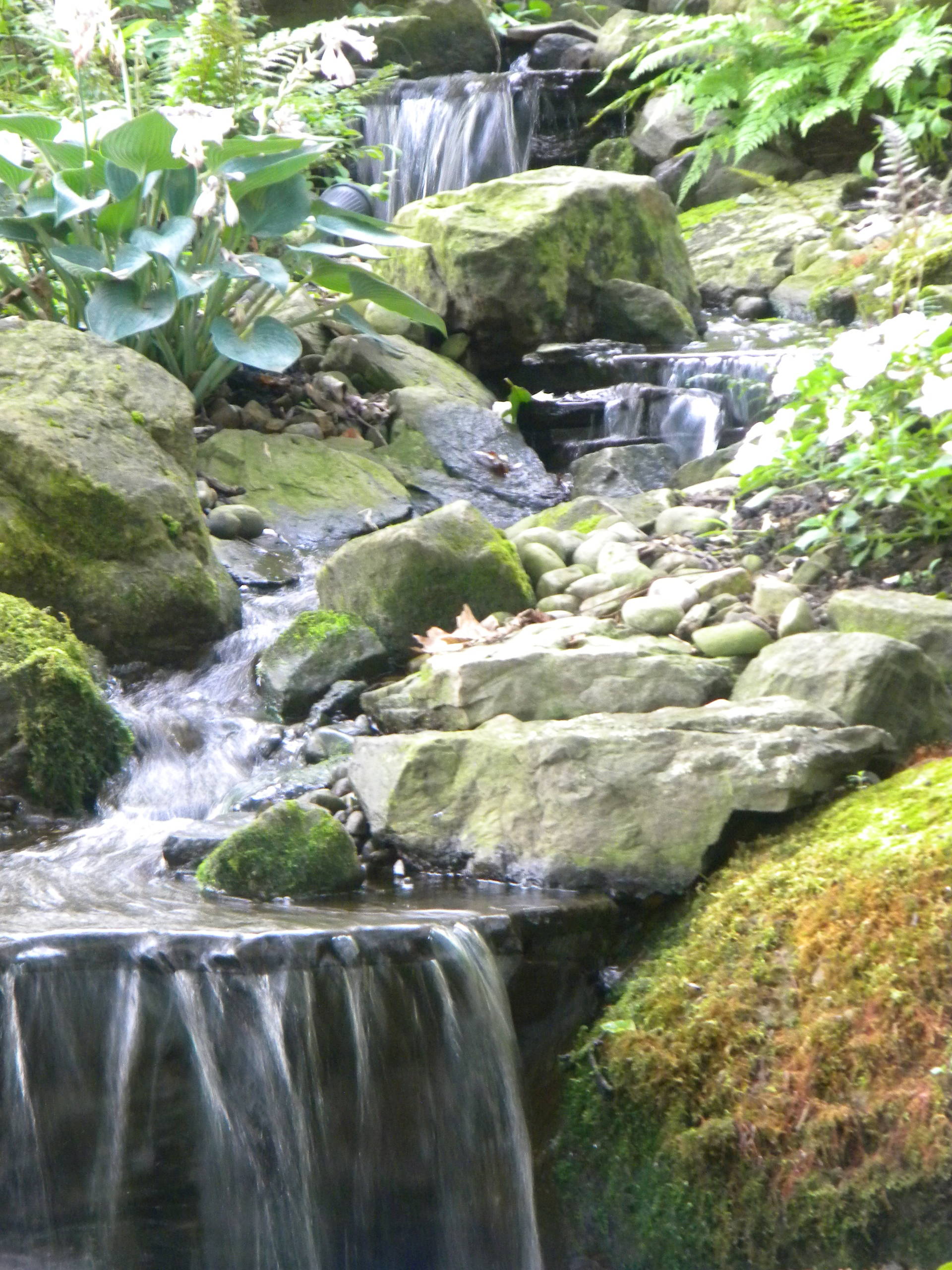 Waterfall and Stream