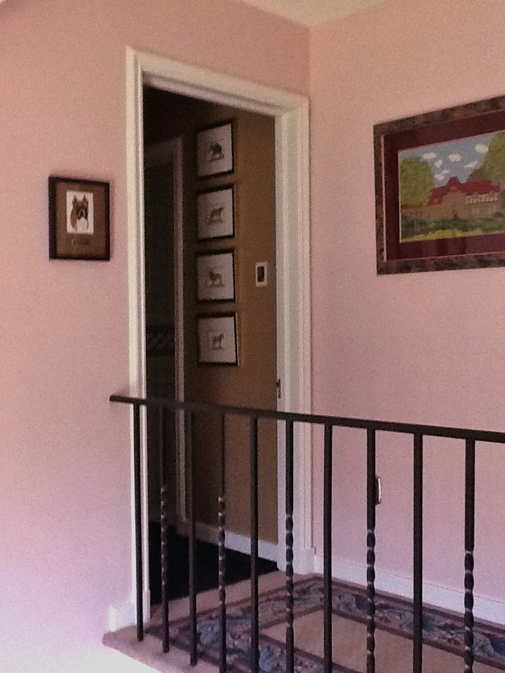 Front door - small eclectic ceramic tile front door idea with pink walls