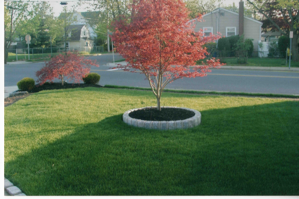 Front Yard landscaping with Belgium Block tree rings