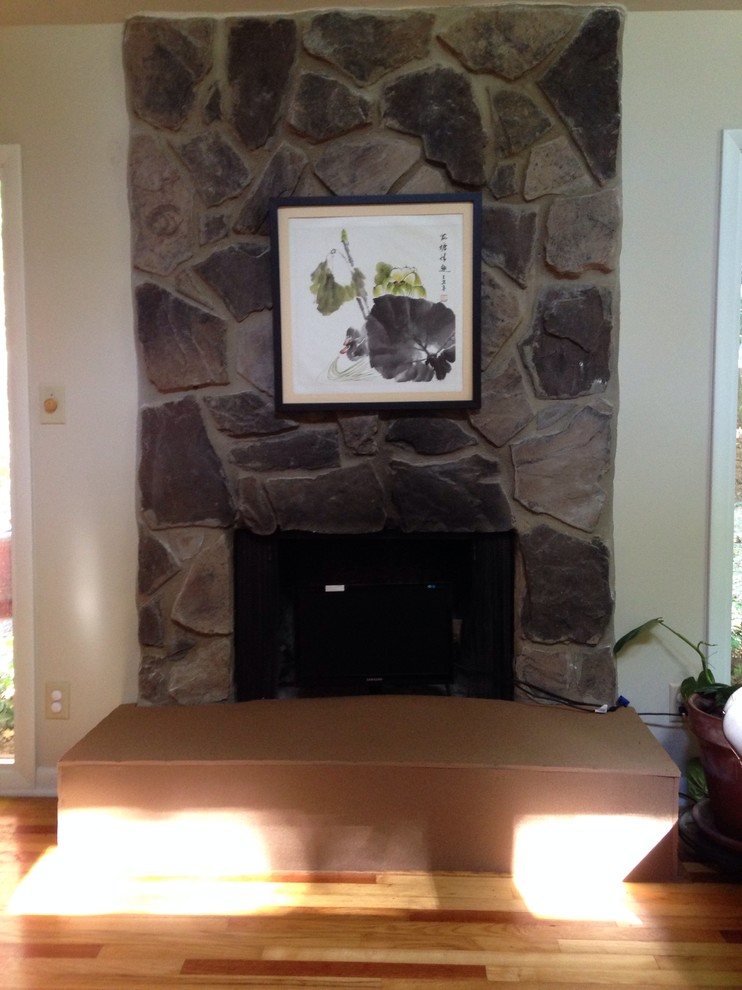 TV in front of fireplace?!