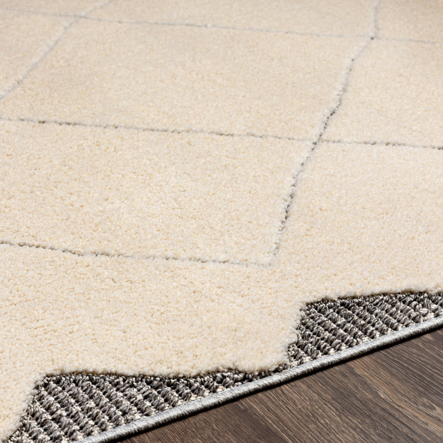 Sousse SUS-2304 Area Rug, 8'2