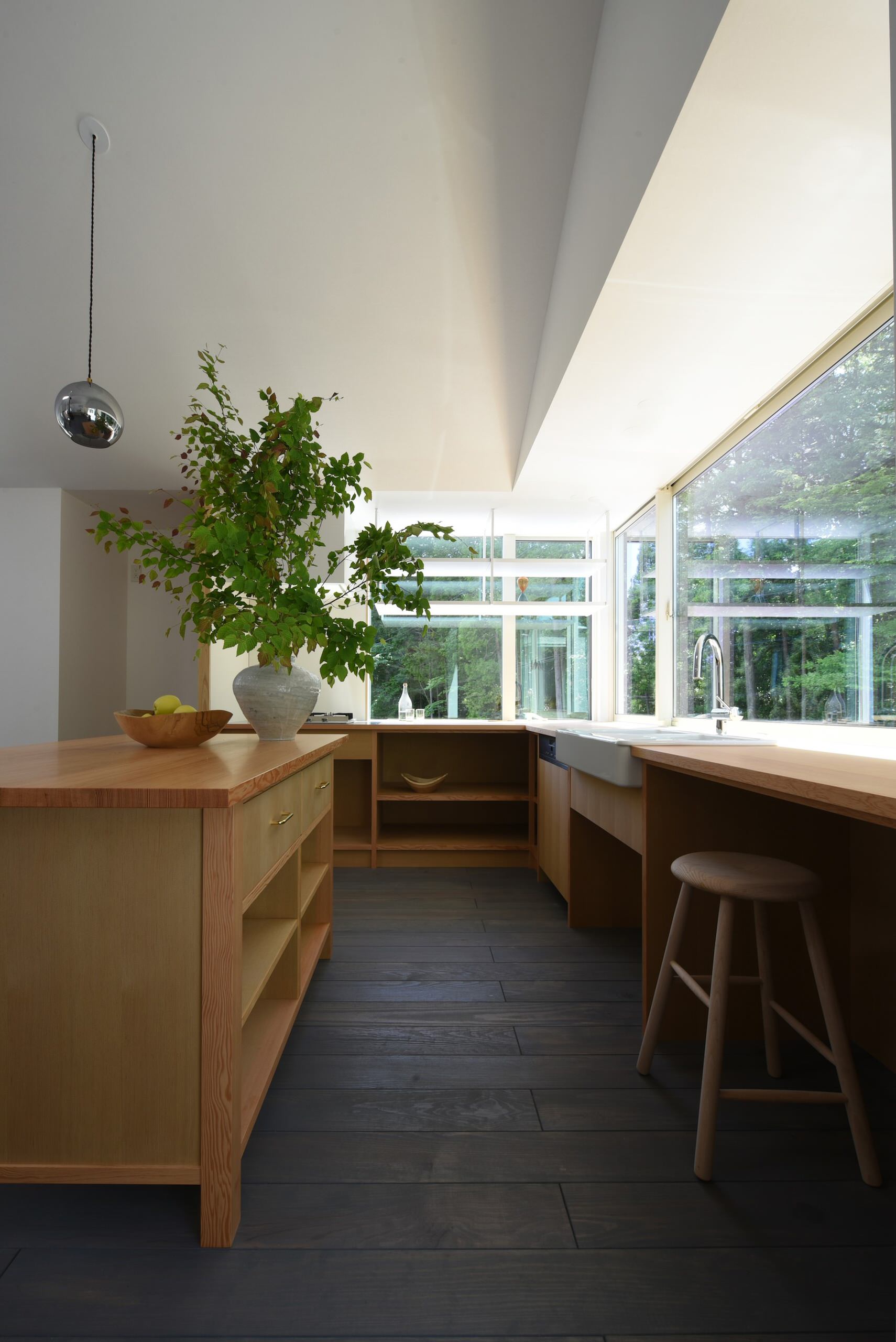 Case Study House #79 F House　Associate: Mimasis Design