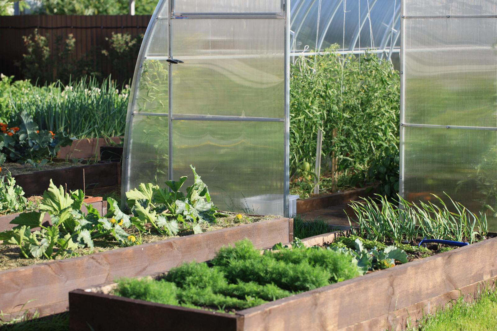 Равновесие