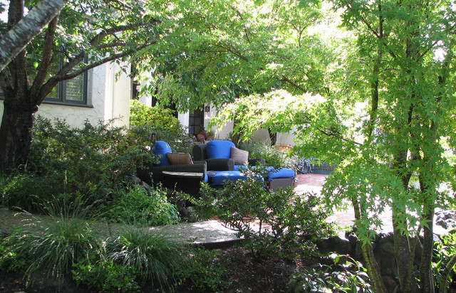 Amante mediterranean-patio