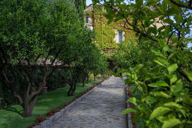 Casa Merc&egrave; Positano - Cortile mediterranean-garden