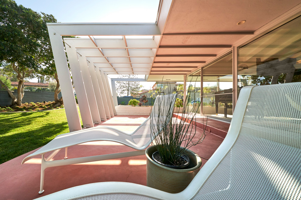 Immagine di un patio o portico minimalista di medie dimensioni e nel cortile laterale con lastre di cemento e un tetto a sbalzo
